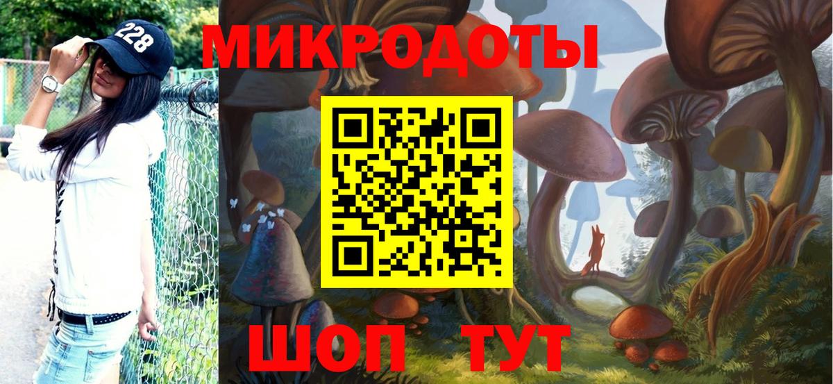 Псилоцибиновые грибы Psilocybe Шуя