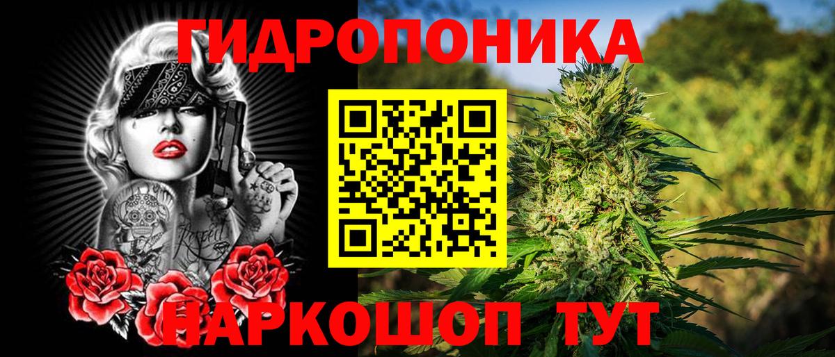 Марихуана план Шуя
